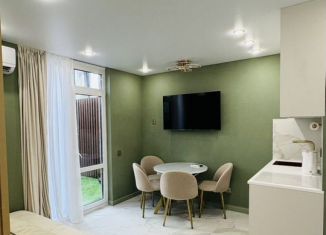 Сдается квартира студия, 28 м2, Сочи, Молодогвардейская улица, микрорайон Соболевка