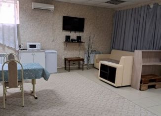 Сдается в аренду 1-комнатная квартира, 50 м2, Аксай, улица Луначарского, 70