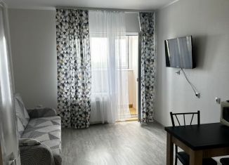 Сдача в аренду квартиры студии, 24 м2, Республика Башкортостан, Новоуфимская улица, 17