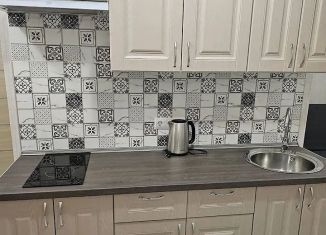 Сдается в аренду квартира студия, 24 м2, Ростов-на-Дону, улица Еляна, 52, ЖК Итальянский Квартал