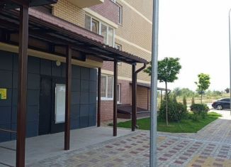 Продается 3-комнатная квартира, 76.3 м2, посёлок Берёзовый, улица имени Профессора Малигонова, 42/1