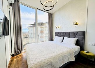 Сдаю в аренду 2-ком. квартиру, 60 м2, Сочи, Курортный проспект, 59, микрорайон Центральный