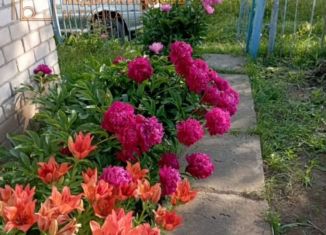 Продаю дачу, 26 м2, село Ташкиново, 21-я улица