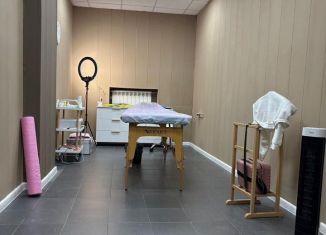 Сдается помещение свободного назначения, 13 м2, Москва, Новинский бульвар, 14, район Арбат