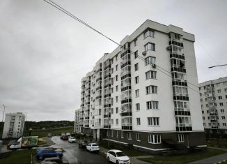 Продается 1-ком. квартира, 33 м2, сельский посёлок Новинки, 2-я Дорожная улица, 2, ЖК Новинки Смарт Сити