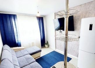 Сдаю в аренду 3-комнатную квартиру, 65 м2, Новосибирск, улица Лескова, 35, ЖК Оазис
