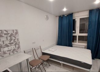 Сдаю квартиру студию, 21 м2, деревня Глухово, Романовская улица, 17, ЖК Новая Рига