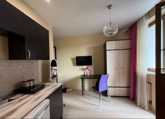 Сдаю в аренду квартиру студию, 18 м2, Котельники, Сосновая улица, 2к4, ЖК Белые Росы