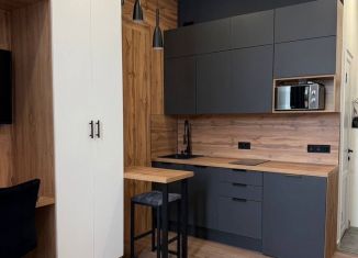 Аренда квартиры студии, 18 м2, Люберцы, Октябрьский проспект, 403