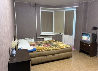 Сдается в аренду 1-комнатная квартира, 42 м2, Тихвин, 3-й микрорайон, 36