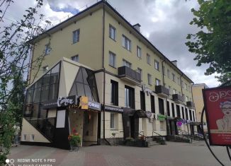 Сдача в аренду помещения свободного назначения, 223 м2, Смоленск, проспект Гагарина, 3, Промышленный район