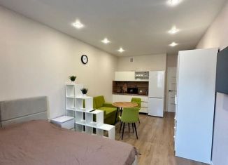 Сдаю квартиру студию, 30 м2, Краснодар, Ярославская улица, 115к1, микрорайон 9 километр