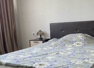 1-комнатная квартира в аренду, 40 м2, село Раздольное, Тепличная улица, 63к1, ЖК Министерские Озёра