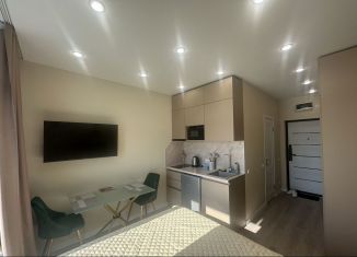 Сдам в аренду квартиру студию, 20 м2, Сочи, Ясногорская улица, 16/2к6, микрорайон Бытха