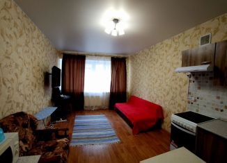 Продается квартира студия, 24 м2, Ставрополь, проспект Кулакова, 63/1