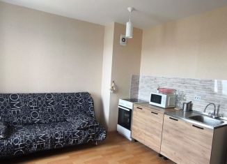 Продаю квартиру студию, 24.4 м2, посёлок Парголово, Толубеевский проезд, 26к1