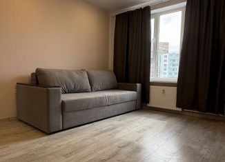 1-комнатная квартира в аренду, 39 м2, Ростов-на-Дону, улица Ерёменко, 110/2с2, ЖК Пятый Элемент