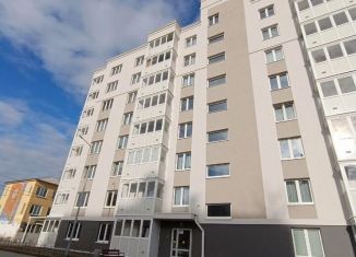 Сдам в аренду 1-комнатную квартиру, 46 м2, Бор, улица Максимова, 1