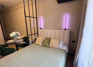 Сдается в аренду квартира студия, 23 м2, Сочи, улица Ленина, 286