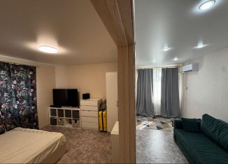 Продается 1-ком. квартира, 48.4 м2, деревня Куюки, 13-й квартал, 3А