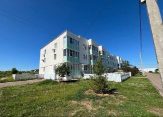 2-ком. квартира на продажу, 51 м2, село Суук-Чишма, Центральная улица, 14