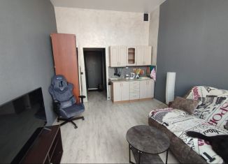 Сдается в аренду квартира студия, 20.5 м2, Тольятти, Индустриальная улица, 7