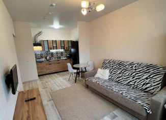 Сдача в аренду 2-ком. квартиры, 40 м2, Пермь, Серебристая улица, 16