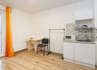 Сдам в аренду квартиру студию, 24 м2, Тюмень, Интернациональная улица, 199к7, ЖК Авиатор