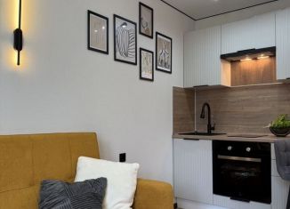 Продажа квартиры студии, 23 м2, Мурино, Графская улица, ЖК Лампо