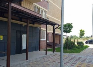 Продам 3-комнатную квартиру, 57.3 м2, посёлок Берёзовый, улица имени Профессора Малигонова, 42/1