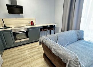 Сдается квартира студия, 35 м2, Пермь, улица Революции, 48В, ЖК Гулливер