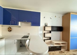 Продается квартира студия, 23 м2, село Зубово, Весенняя улица, 2