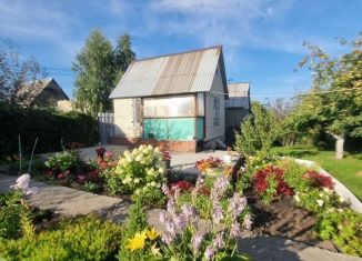 Продаю дом, 18 м2, Челябинская область, Центральная улица