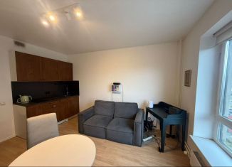 Продам квартиру студию, 23.4 м2, Люберцы, улица Лётчика Ларюшина, 6к2, ЖК Жулебино Парк