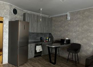 Сдам в аренду квартиру студию, 27.2 м2, Благовещенск, улица Шафира, 64