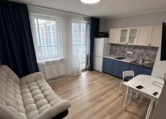 Квартира на продажу студия, 25 м2, Мурино, улица Шувалова, 20к1, ЖК Территория