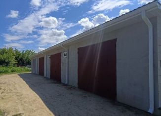 Продаю гараж, 30 м2, Борисоглебск, Аэродромная улица, 29Л