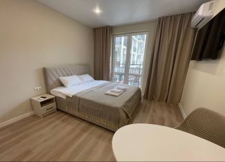 Сдам в аренду квартиру студию, 30 м2, Сочи, улица Искры, 88к3, микрорайон Кудепста