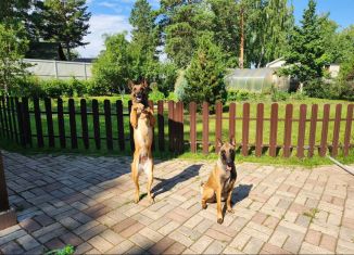 Продаю дом, 137.6 м2, Красноярский край, Лесная улица, 29А