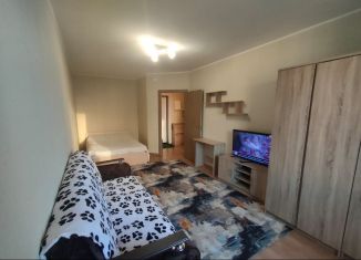 Сдается однокомнатная квартира, 37 м2, Мурино, проспект Авиаторов Балтики, 9к3, ЖК Виктория