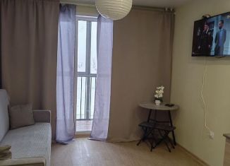 Квартира в аренду студия, 21.6 м2, Новосибирск, Ленинский район, улица Ясный Берег, 43