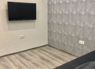 1-ком. квартира в аренду, 40 м2, Ростов-на-Дону, Социалистическая улица, 215