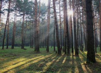 Продается участок, 6.8 сот., деревня Авдотьино, Нагорная улица