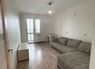 Продам квартиру студию, 20.3 м2, Санкт-Петербург, набережная реки Каменки, 19к3, муниципальный округ Коломяги