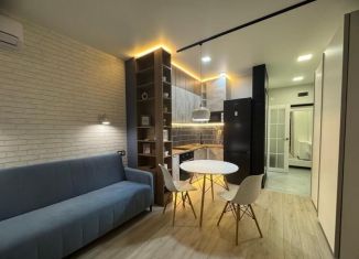 Аренда квартиры студии, 29 м2, Ростов-на-Дону, проспект Соколова, 68/118Вс2