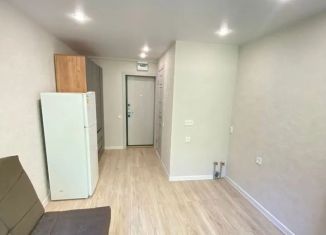 Сдается квартира студия, 15.7 м2, Сочи, улица Гастелло, 15Б, микрорайон Голубые Дали