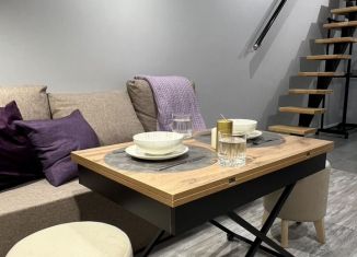 Аренда квартиры студии, 25 м2, Санкт-Петербург, Полтавская улица, 10