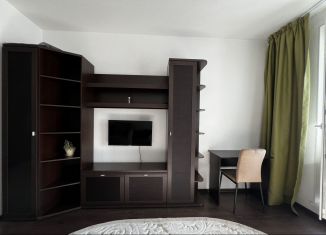 Продается квартира студия, 26.8 м2, Санкт-Петербург, Дунайский проспект, 7к7, ЖК Триумф Парк