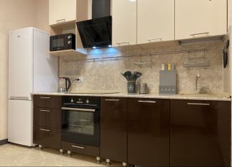 Сдам в аренду 1-комнатную квартиру, 40 м2, Санкт-Петербург, 5-й Предпортовый проезд, 2, 5-й Предпортовый проезд