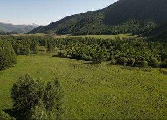 Продам земельный участок, 100 сот., село Туекта